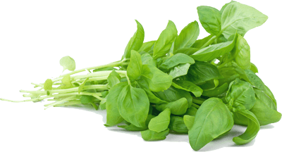 basil leaves